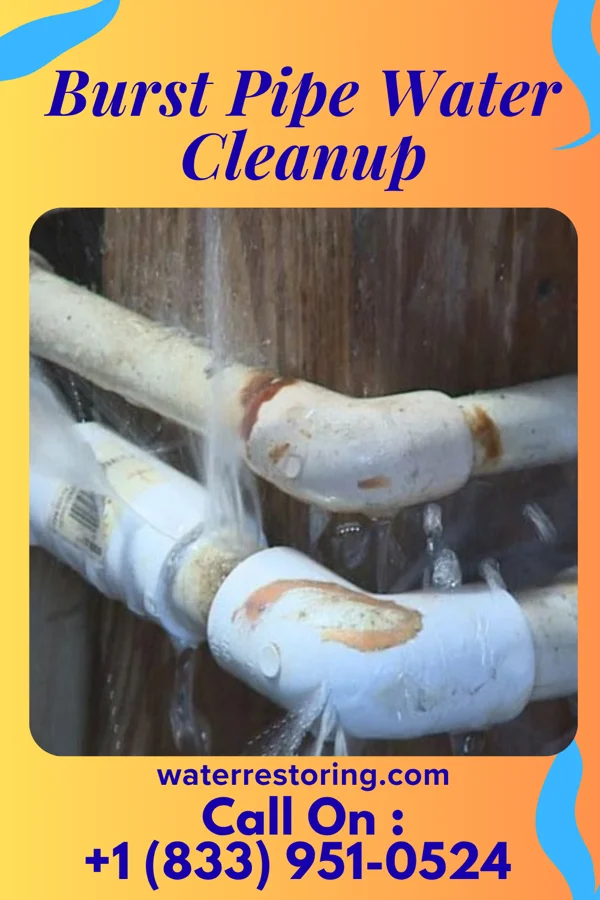 Burst Pipe Water Cleanup in Corydon, IN