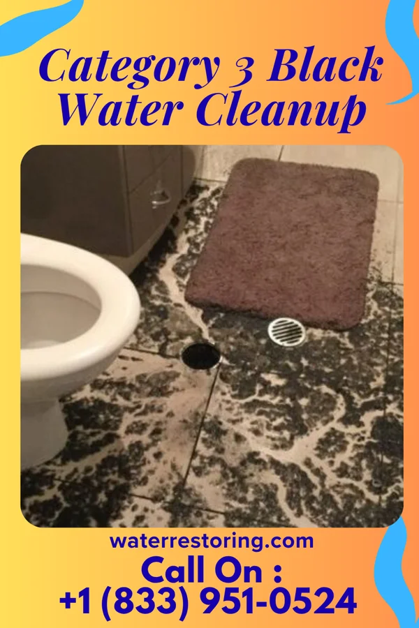 Category 3 Black Water Cleanup in Corydon, IN